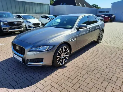 Annonce JAGUAR XF Diesel 2016 d'occasion 