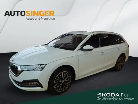 Annonce SKODA OCTAVIA Diesel 2023 d'occasion 