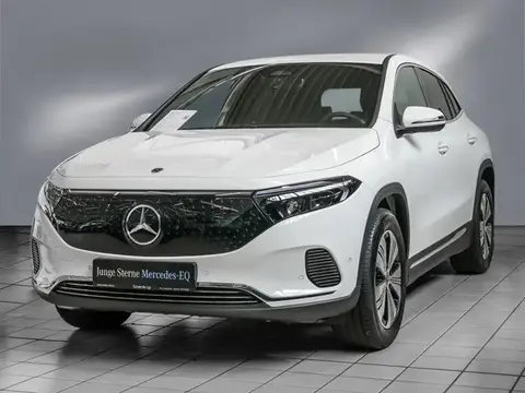 Used MERCEDES-BENZ EQA Not specified 2024 Ad 