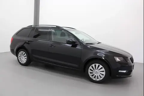 Used SKODA OCTAVIA Diesel 2019 Ad 