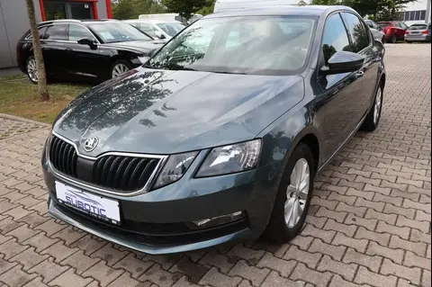 Used SKODA OCTAVIA Diesel 2019 Ad 