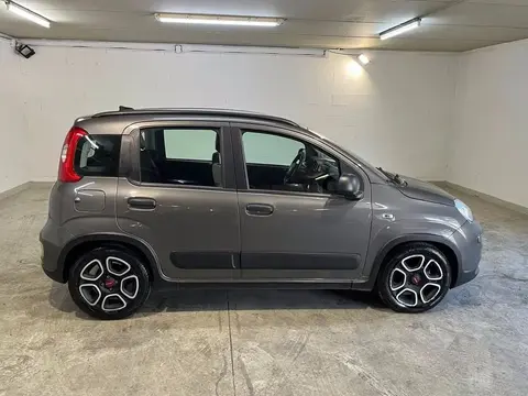 Annonce FIAT PANDA Hybride 2021 d'occasion 