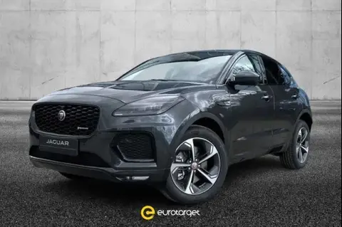 Used JAGUAR E-PACE Hybrid 2021 Ad 