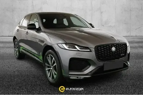 Annonce JAGUAR F-PACE Hybride 2023 d'occasion 