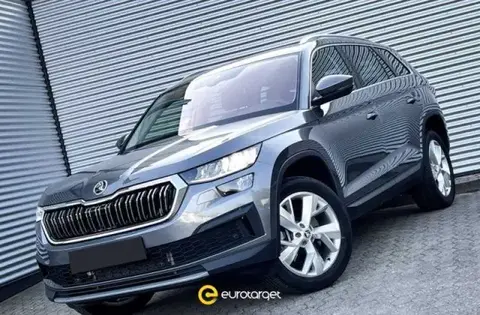 Used SKODA KODIAQ Diesel 2023 Ad 