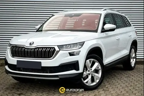 Used SKODA KODIAQ Diesel 2023 Ad 