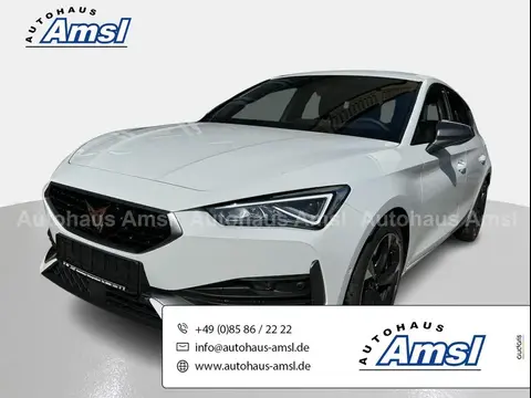 Used CUPRA LEON Petrol 2024 Ad 