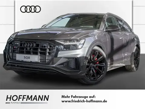 Used AUDI SQ8 Petrol 2024 Ad 