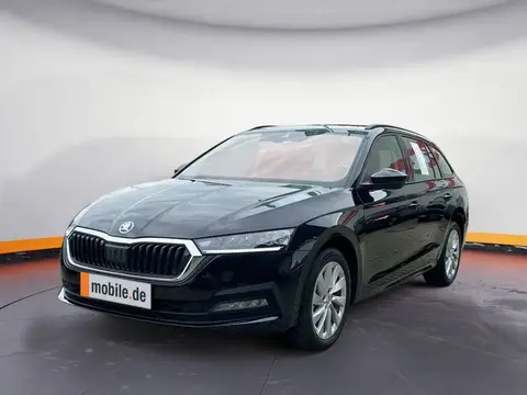 Annonce SKODA OCTAVIA Diesel 2024 d'occasion 