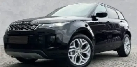 Used LAND ROVER RANGE ROVER EVOQUE Hybrid 2023 Ad 