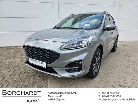 Used FORD KUGA Hybrid 2024 Ad 