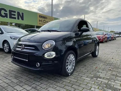 Used FIAT 500 Petrol 2023 Ad 