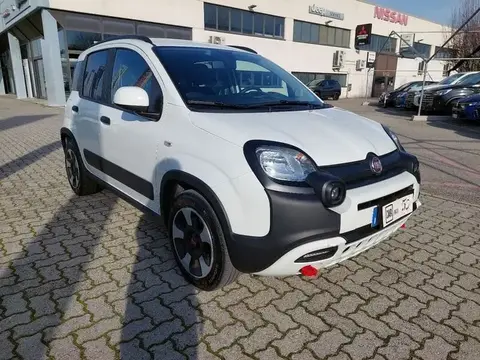 Annonce FIAT PANDA Hybride 2023 d'occasion 