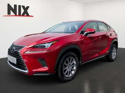 Used LEXUS NX Hybrid 2020 Ad 