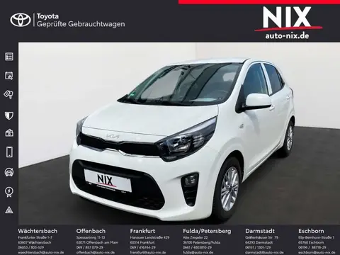 Used KIA PICANTO Petrol 2023 Ad 