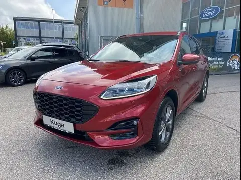 Annonce FORD KUGA Hybride 2024 d'occasion 