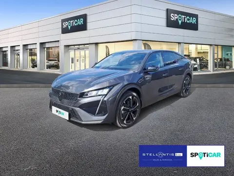 Used PEUGEOT 408 Hybrid 2023 Ad 