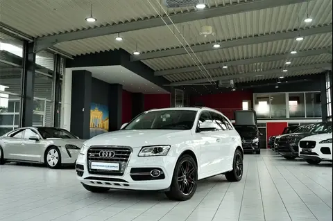 Used AUDI SQ5 Diesel 2017 Ad 