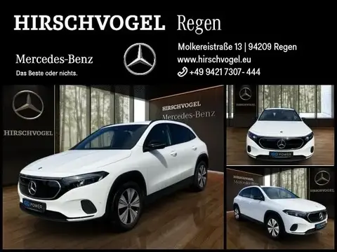 Used MERCEDES-BENZ EQA Not specified 2023 Ad 