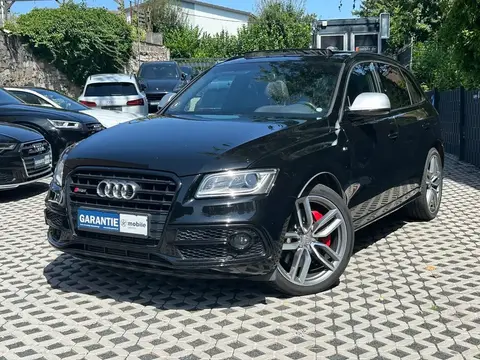 Used AUDI SQ5 Diesel 2017 Ad 