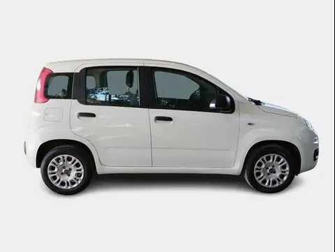 Used FIAT PANDA Petrol 2020 Ad 