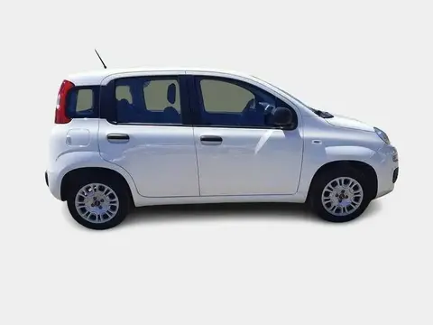 Used FIAT PANDA Petrol 2020 Ad 