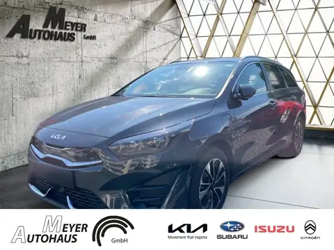 Annonce KIA CEED Hybride 2023 d'occasion 