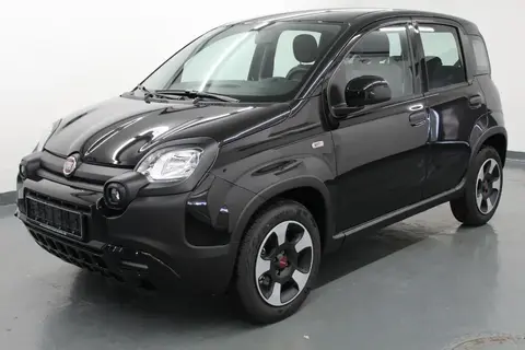 Used FIAT PANDA Petrol 2023 Ad 