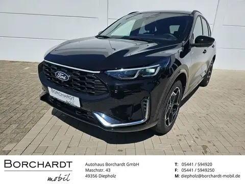 Used FORD KUGA Hybrid 2024 Ad 