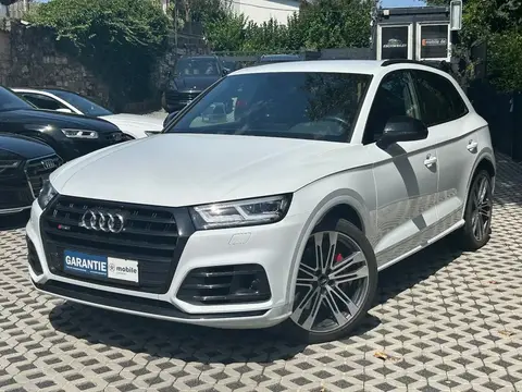 Used AUDI SQ5 Diesel 2019 Ad 