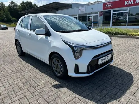 Annonce KIA PICANTO Essence 2024 d'occasion 