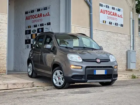 Used FIAT PANDA Hybrid 2022 Ad 