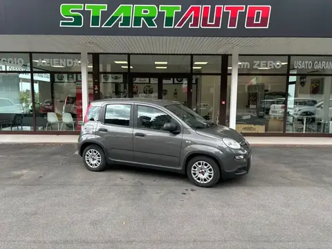 Used FIAT PANDA LPG 2022 Ad 