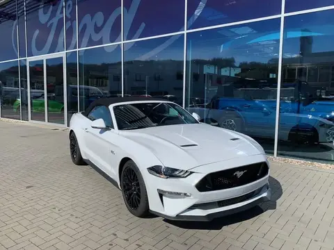 Used FORD MUSTANG Petrol 2024 Ad 