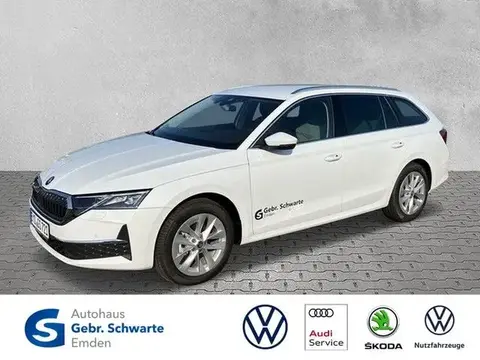 Annonce SKODA OCTAVIA Diesel 2024 d'occasion 