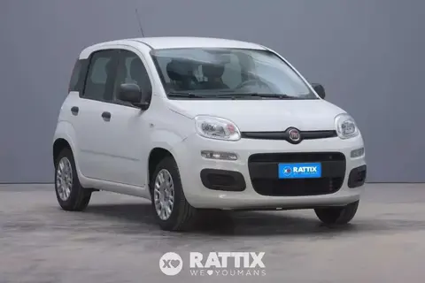 Used FIAT PANDA LPG 2019 Ad 