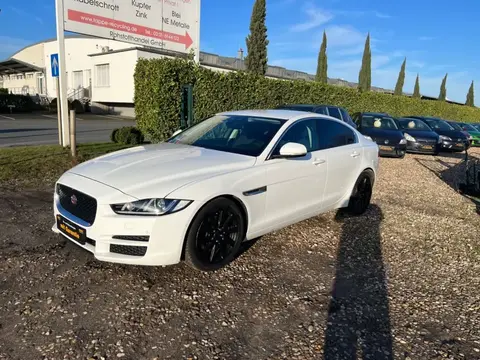 Used JAGUAR XE Diesel 2017 Ad 