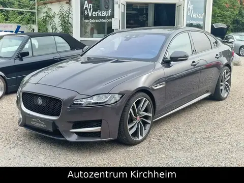 Annonce JAGUAR XF Diesel 2017 d'occasion 