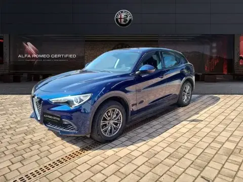 Used ALFA ROMEO STELVIO Diesel 2019 Ad 