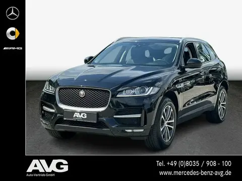 Used JAGUAR F-PACE Petrol 2017 Ad 