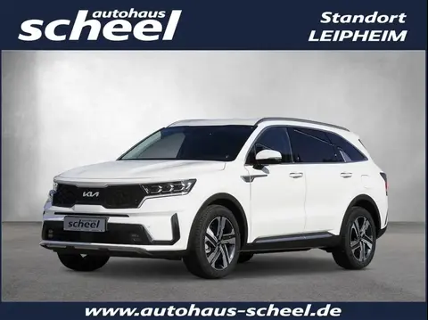 Annonce KIA SORENTO Diesel 2024 d'occasion 