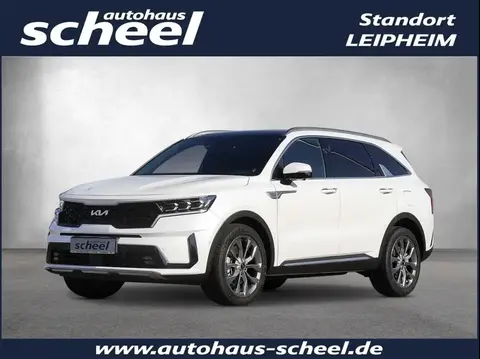 Annonce KIA SORENTO Diesel 2024 d'occasion 