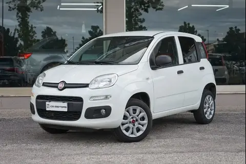 Used FIAT PANDA Petrol 2020 Ad 