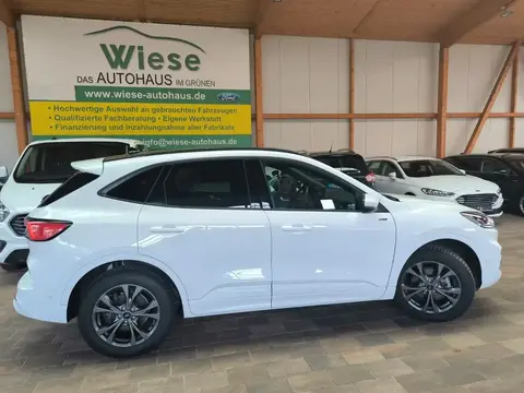 Used FORD KUGA Hybrid 2022 Ad 