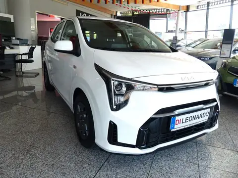 Used KIA PICANTO Petrol 2024 Ad 