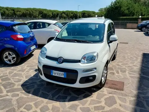 Used FIAT PANDA Petrol 2019 Ad 