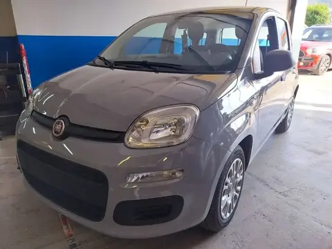 Annonce FIAT PANDA Hybride 2020 d'occasion 