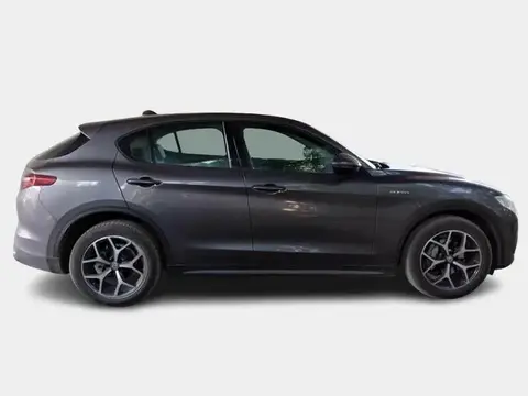 Annonce ALFA ROMEO STELVIO Diesel 2021 d'occasion 