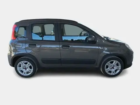 Annonce FIAT PANDA Hybride 2022 d'occasion 