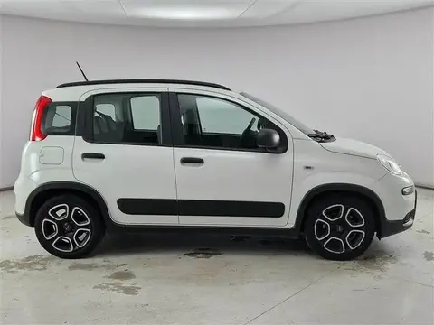 Used FIAT PANDA Hybrid 2021 Ad 